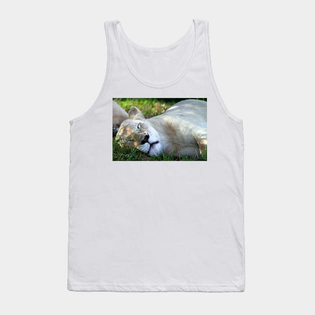 Sleeping White Lion Tank Top by Carole-Anne